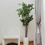 Cozy Domus -